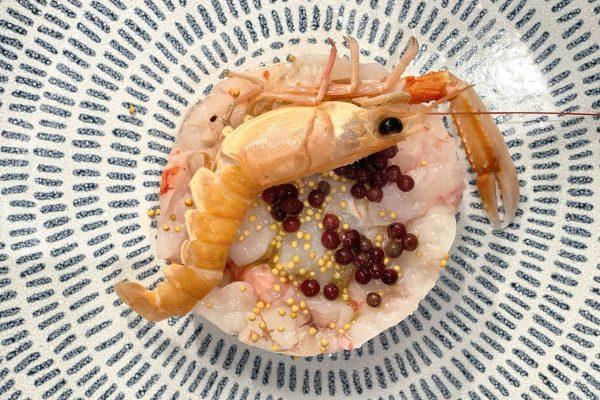 alt="tartare con gambero Casa del pesce"